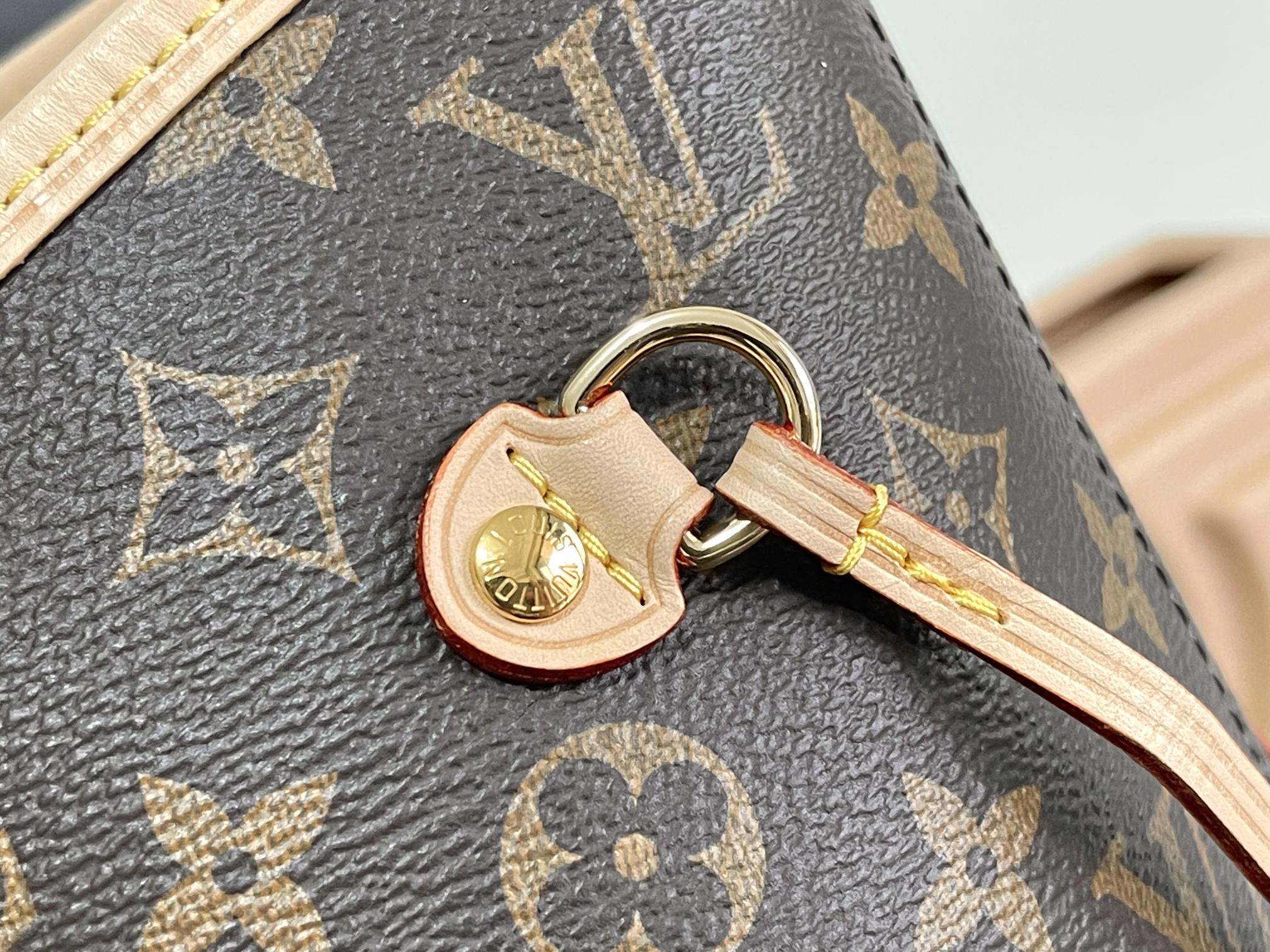 Louis Vuitton Luxury Handbag Collection 6