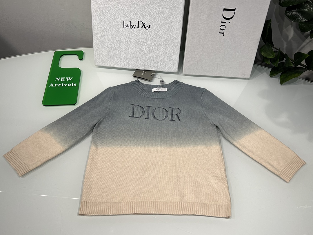 Dior Clothing Sweatshirts Embroidery