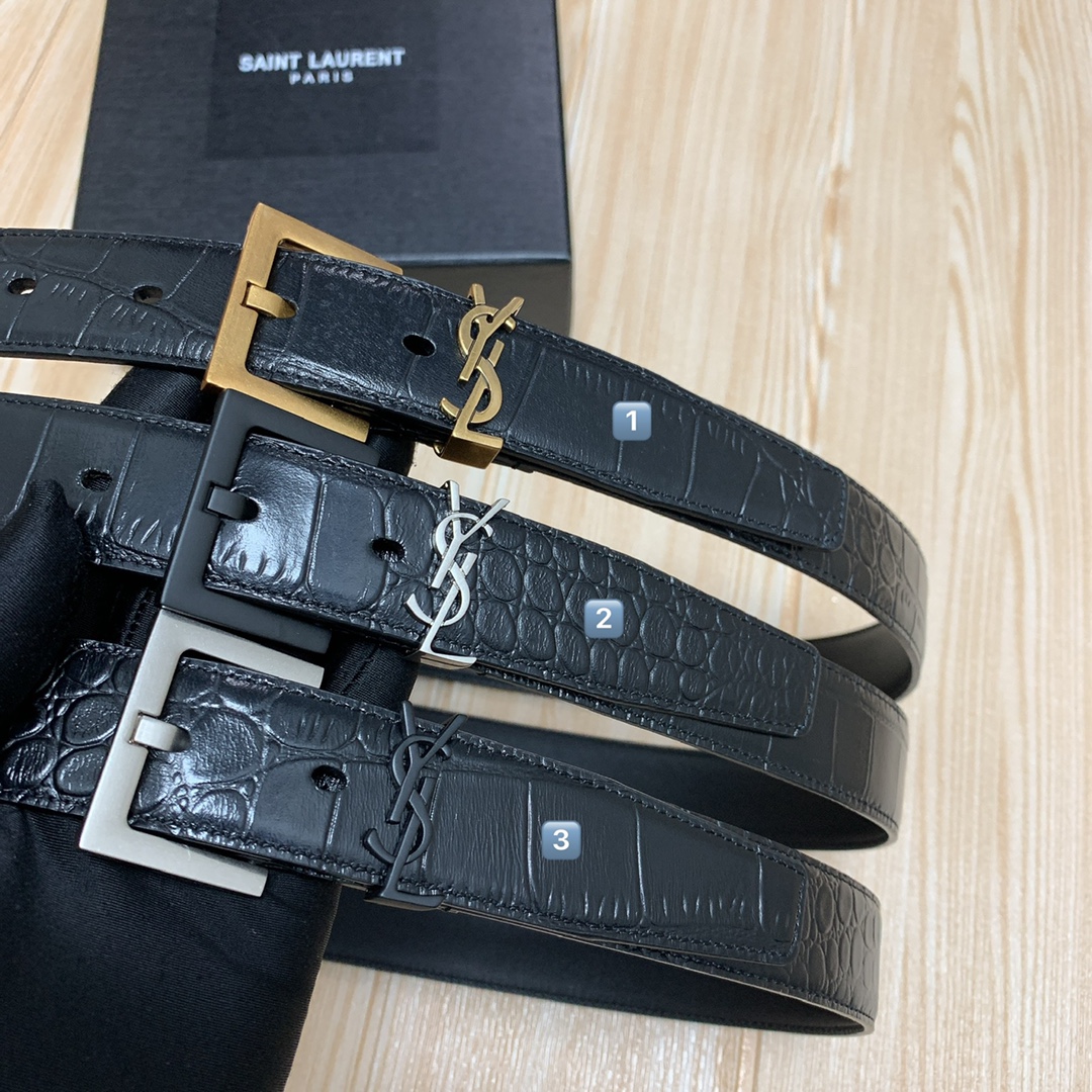 Top-Level Surrogate Purchase of St. Roland’s YSL Needle-Button Belt - 图片 5