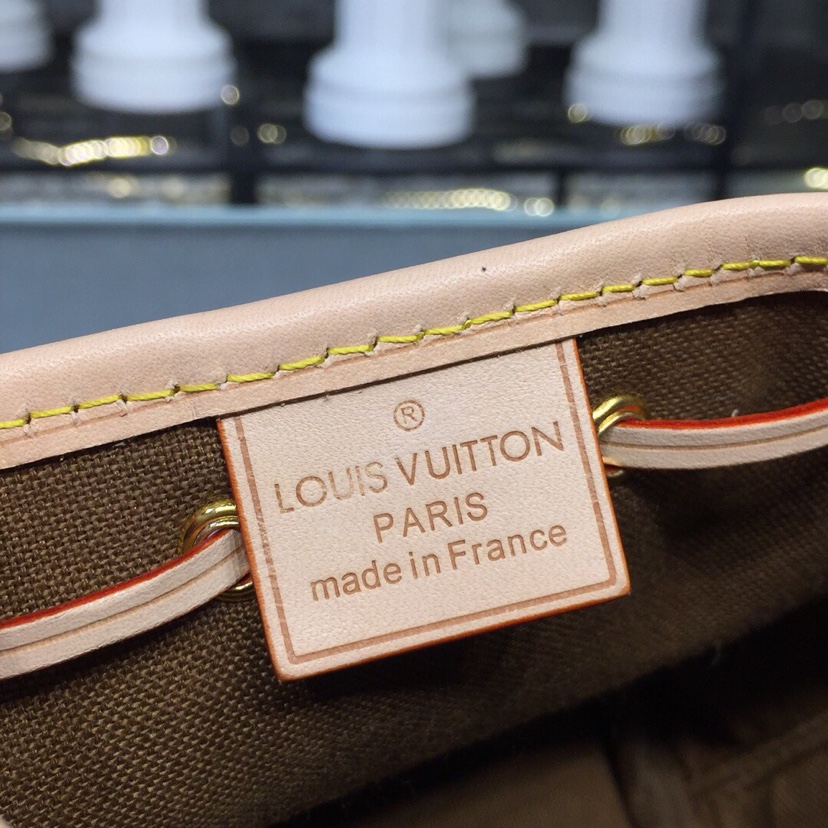 Louis Vuitton 专柜款经典手袋 5