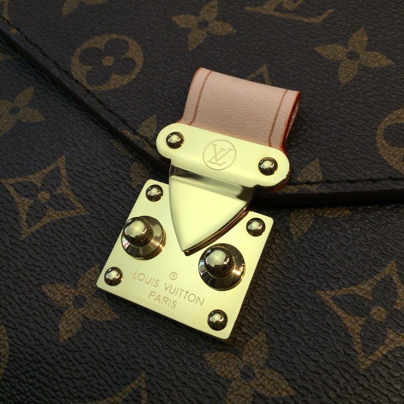 Louis Vuitton Luxury Handbag Collection 4