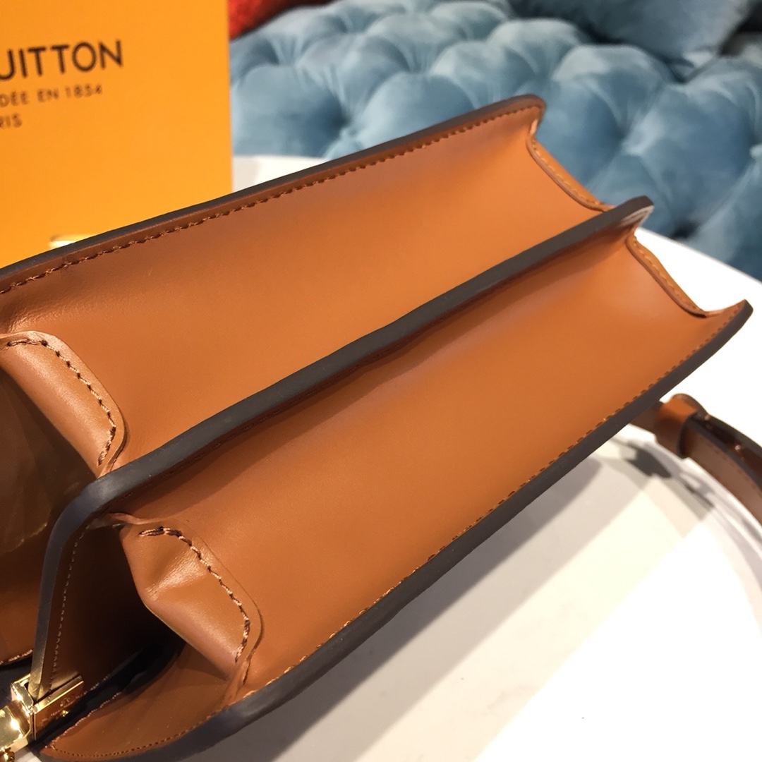 Louis Vuitton Luxury Handbag Collection 6