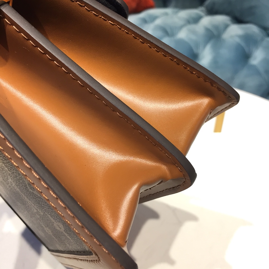 Louis Vuitton Luxury Handbag Collection 5