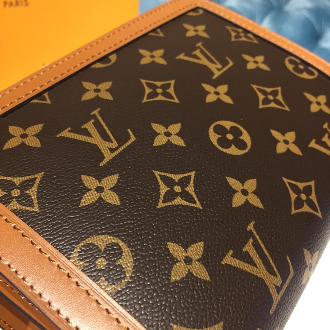 Louis Vuitton Luxury Handbag Collection 2