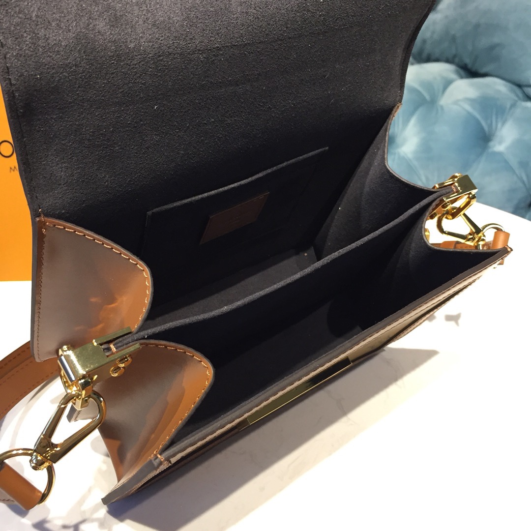 Louis Vuitton Luxury Handbag Collection 8