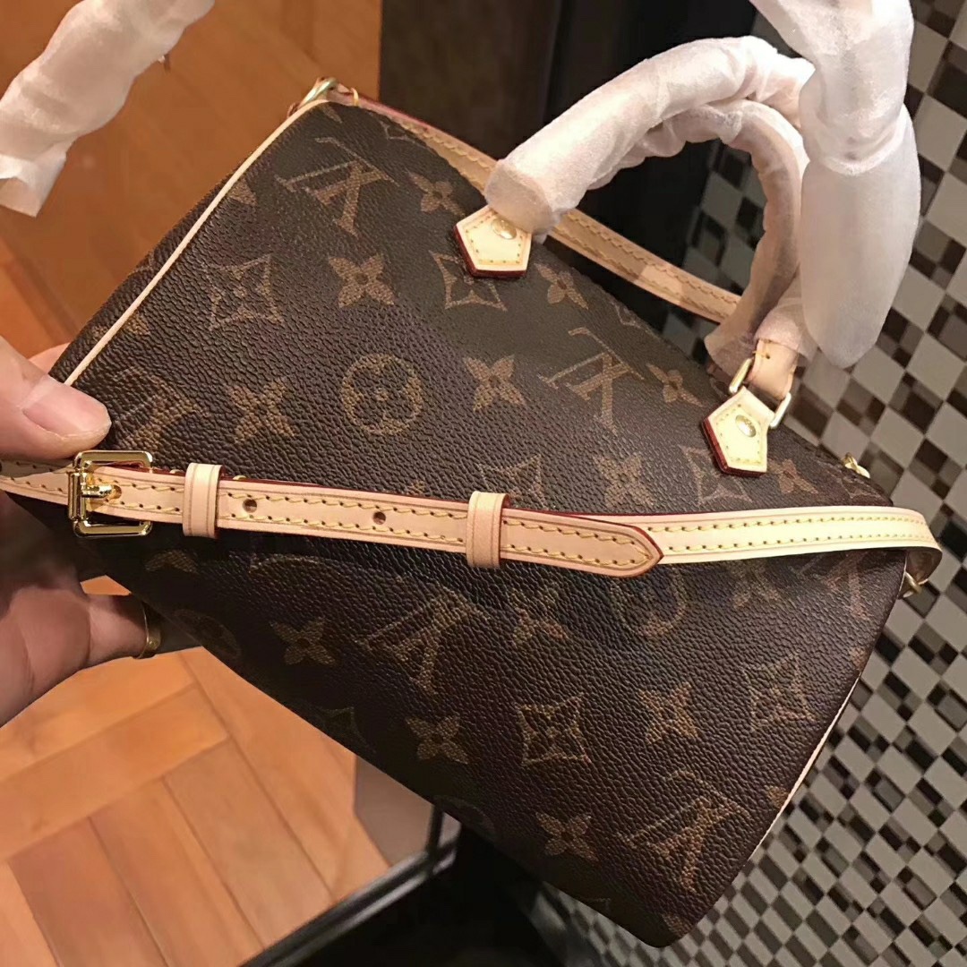 Louis Vuitton 专柜款经典手袋 5