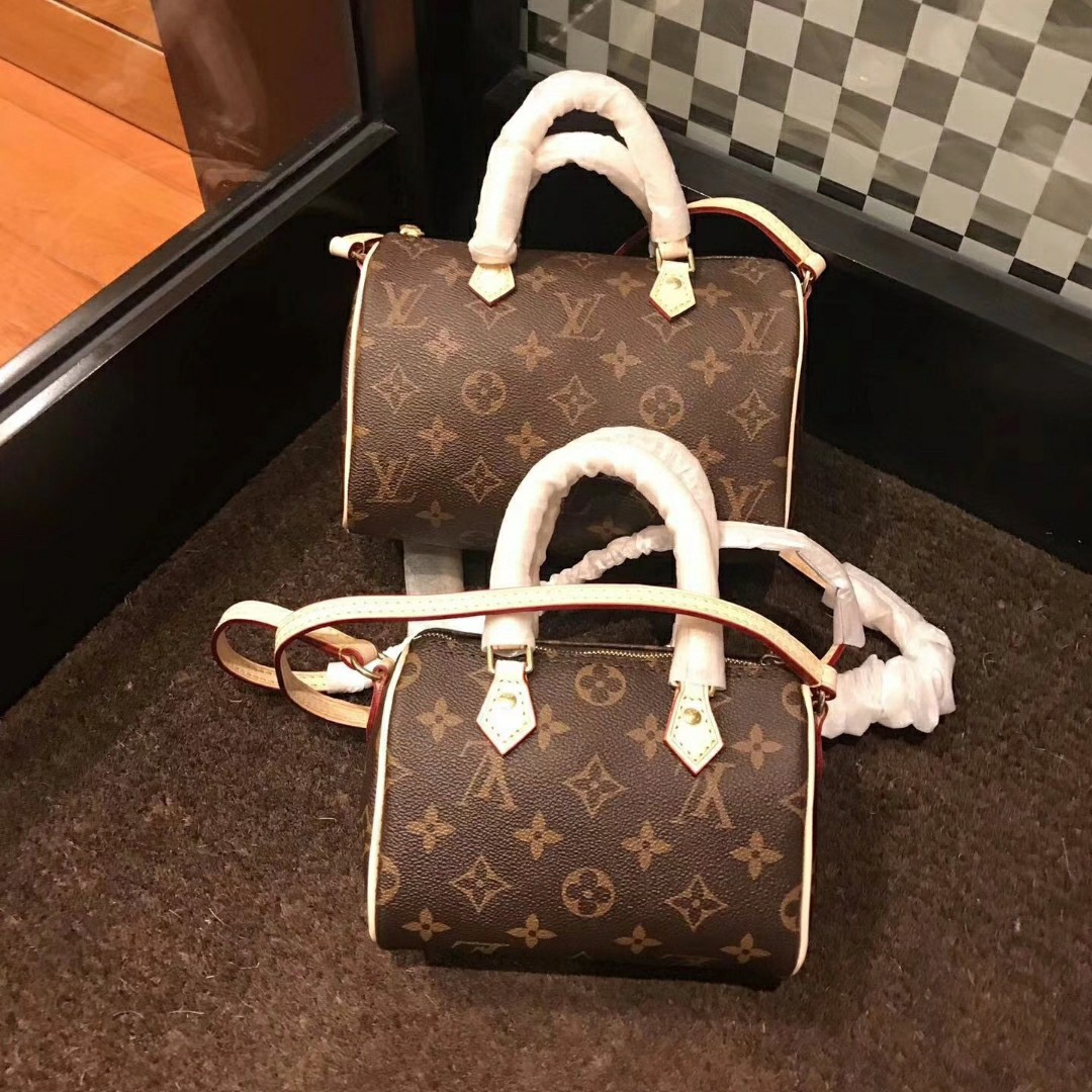 Louis Vuitton 专柜款经典手袋 2