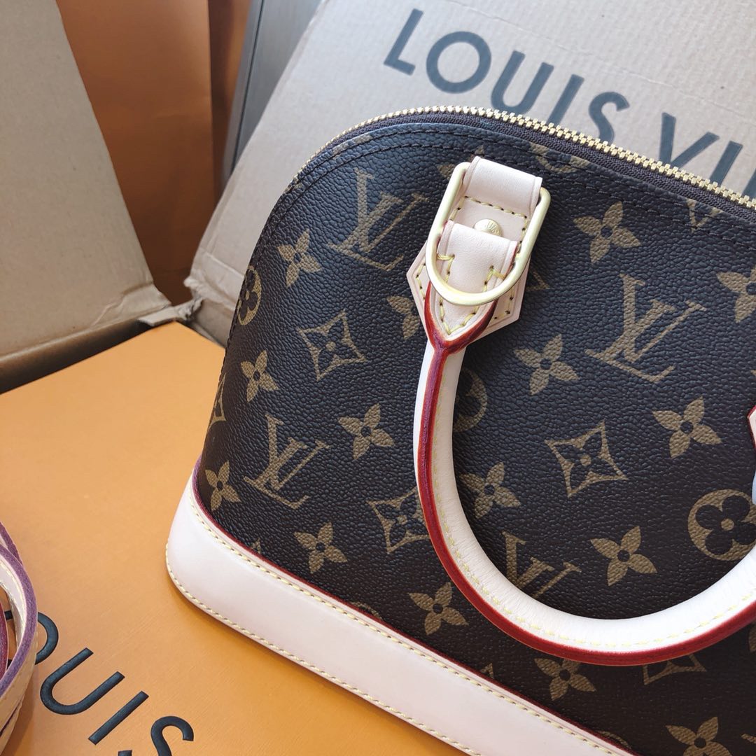 Louis Vuitton 专柜款经典手袋 6