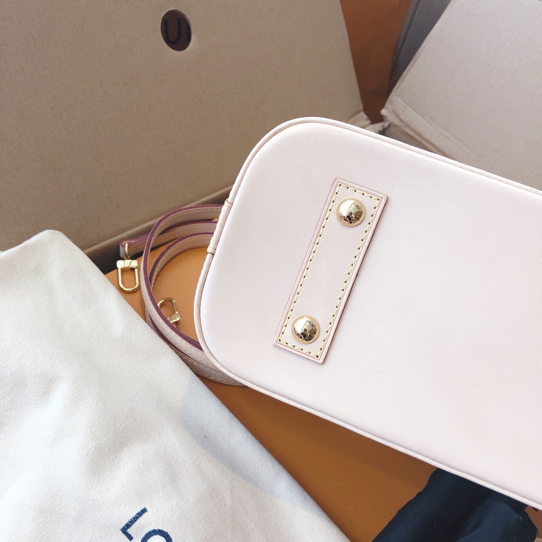 Louis Vuitton 专柜款经典手袋 8