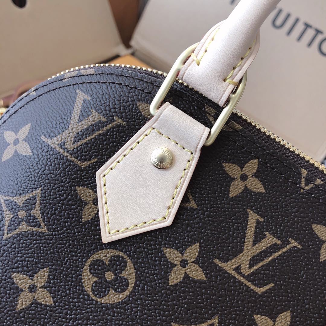 Louis Vuitton 专柜款经典手袋 9