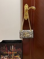 Dolce & Gabbana Crossbody & Shoulder Bags Resin Fashion