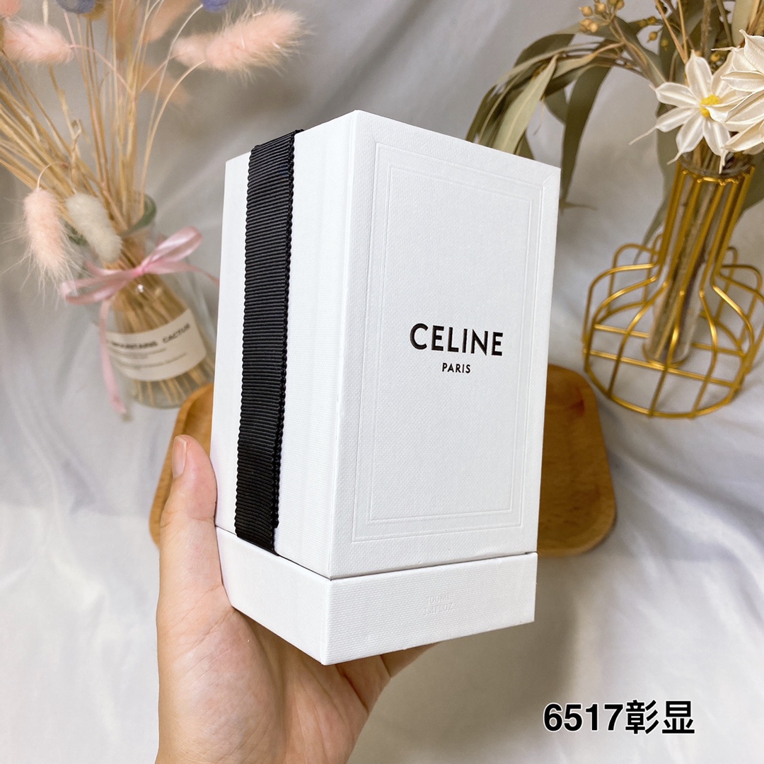 Celine luxury item 6