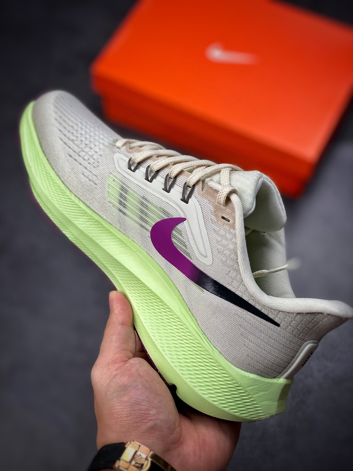 190 Air Zoom Pegasus 39飞马系列 DH4071-101