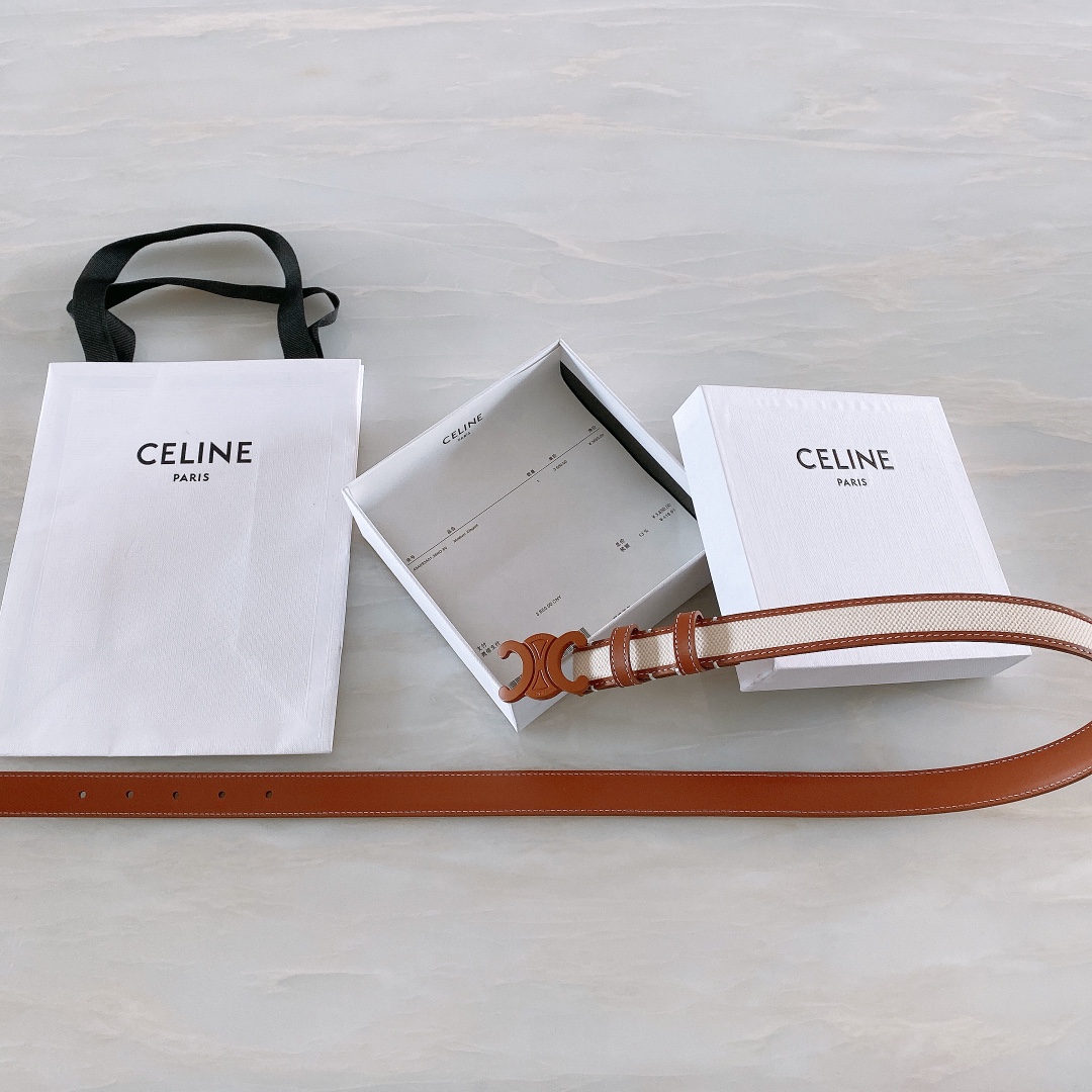 celine赛琳TRIOMPHE中号