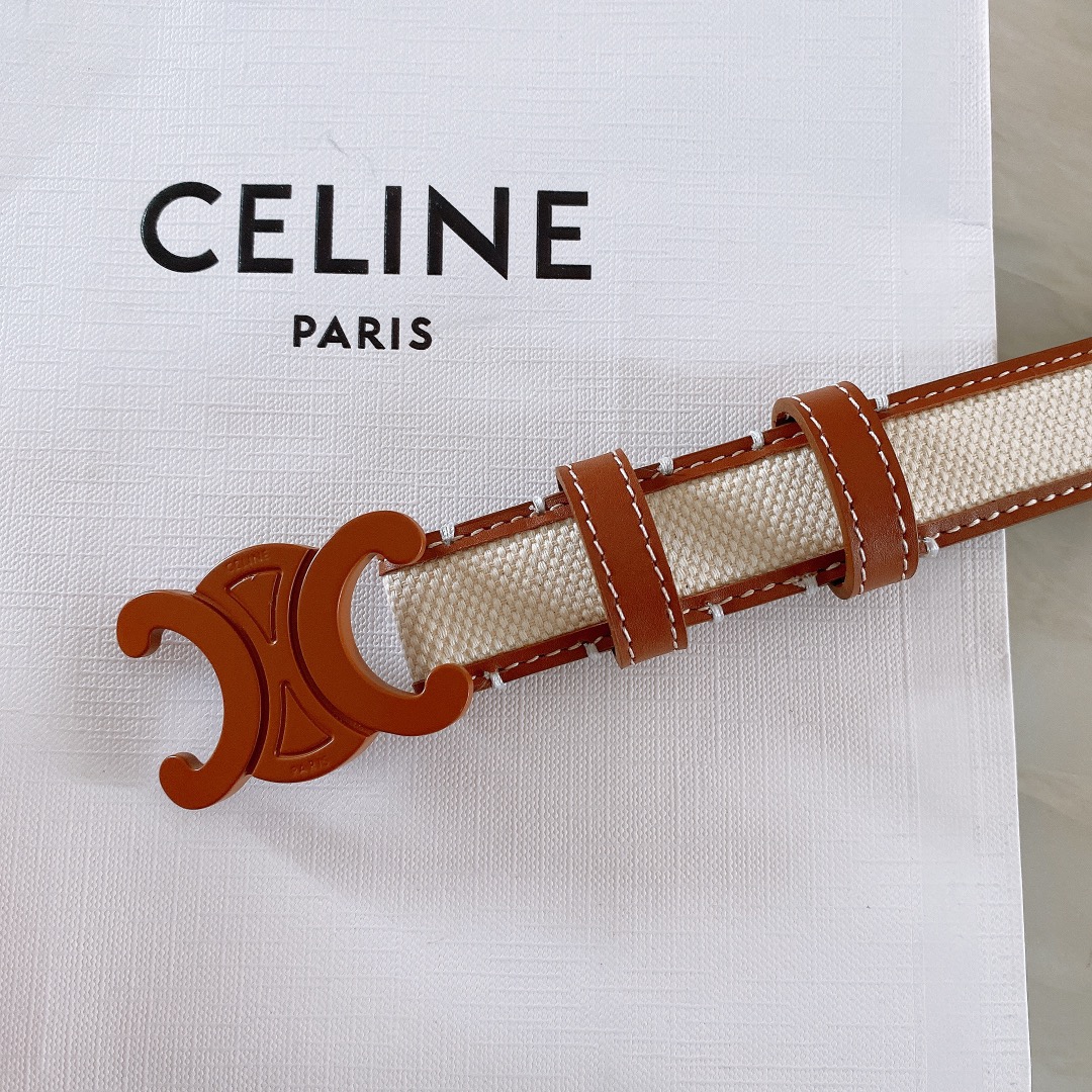 celine赛琳TRIOMPHE中号