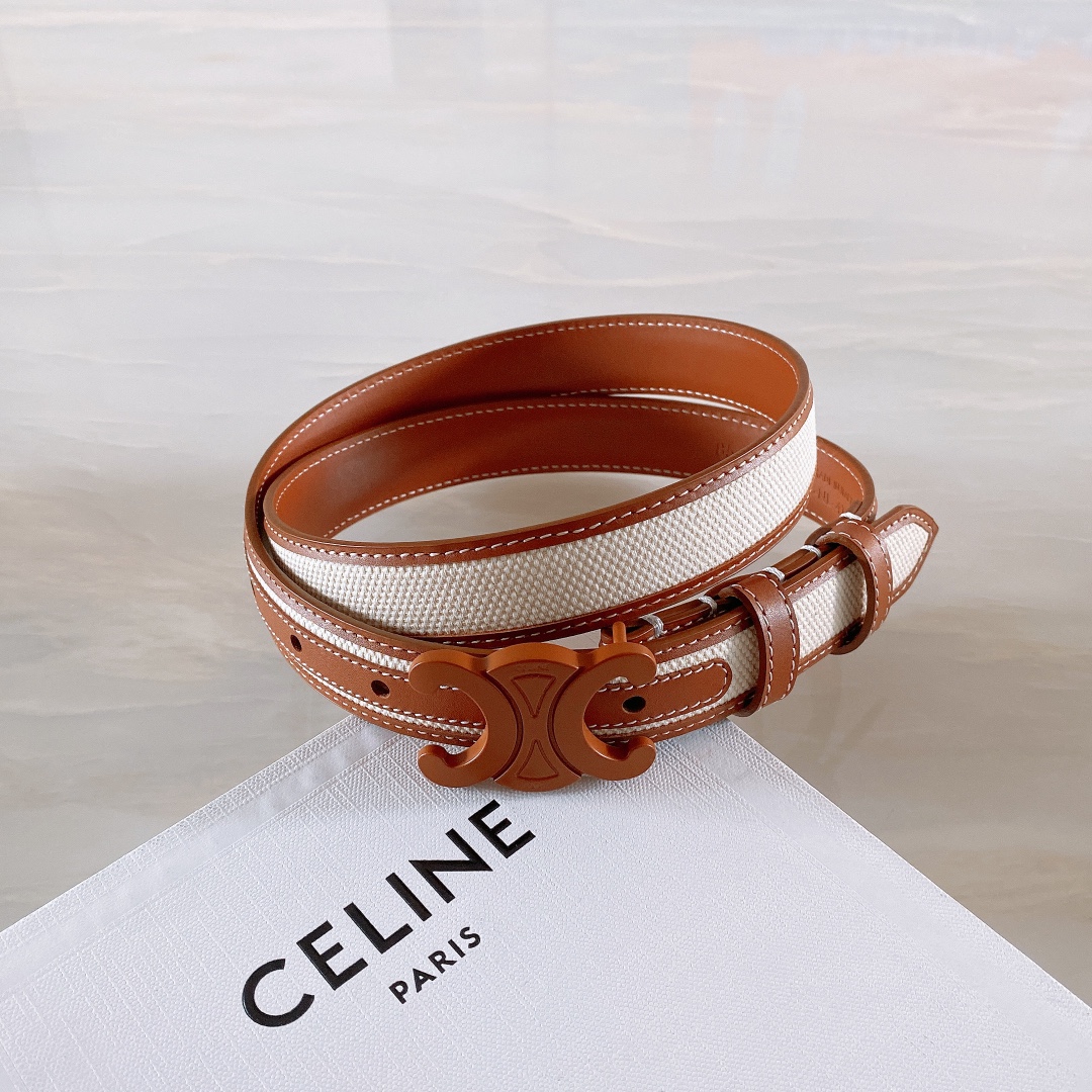 celine赛琳TRIOMPHE中号