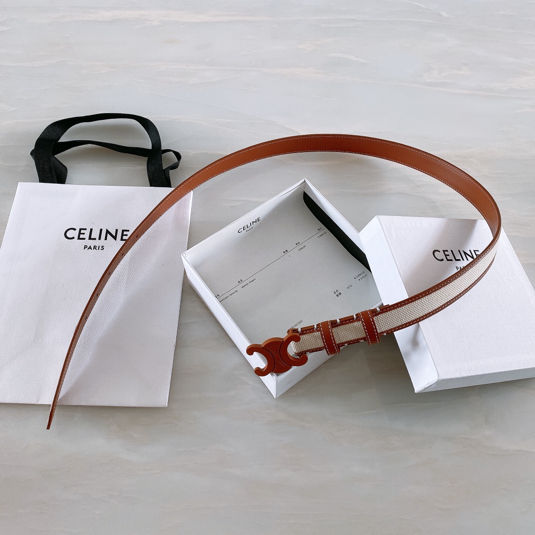 celine赛琳TRIOMPHE中号
