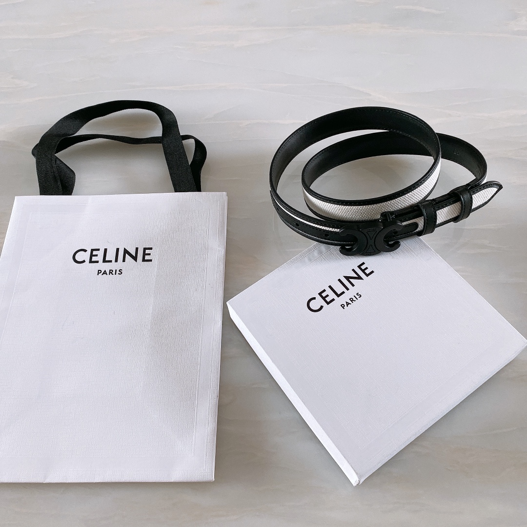celine赛琳TRIOMPHE中号
