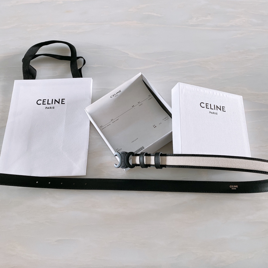 celine赛琳TRIOMPHE中号