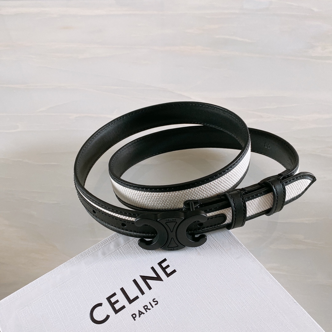 celine赛琳TRIOMPHE中号