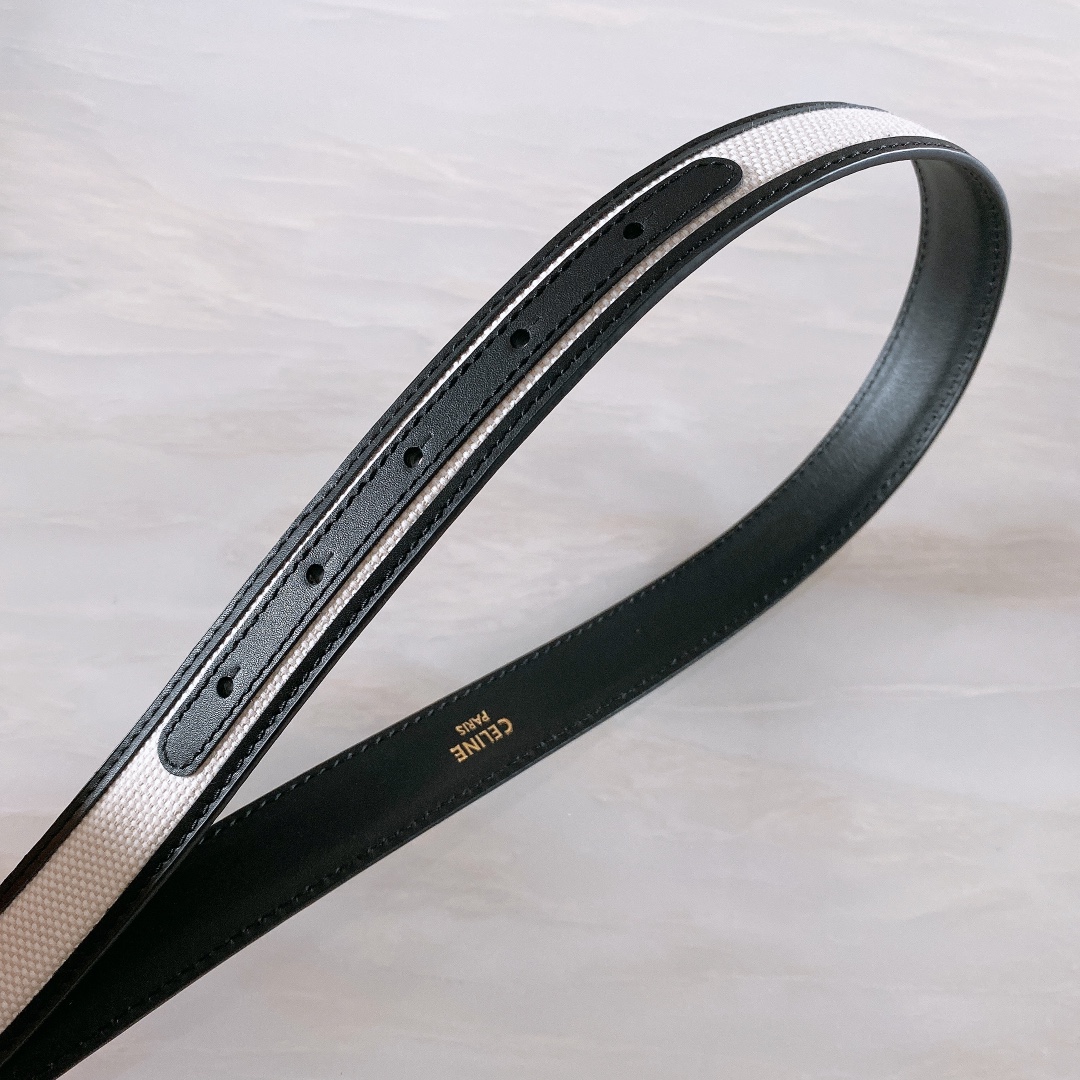 celine赛琳TRIOMPHE中号