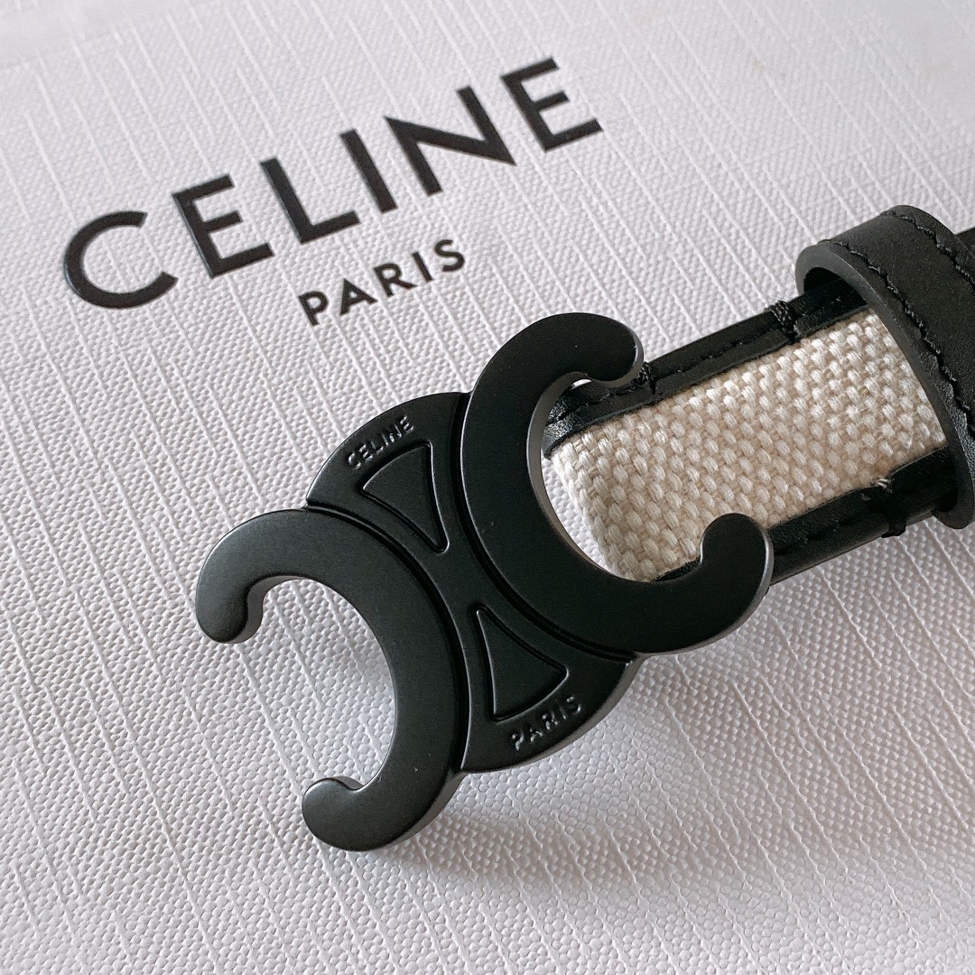 celine赛琳TRIOMPHE中号