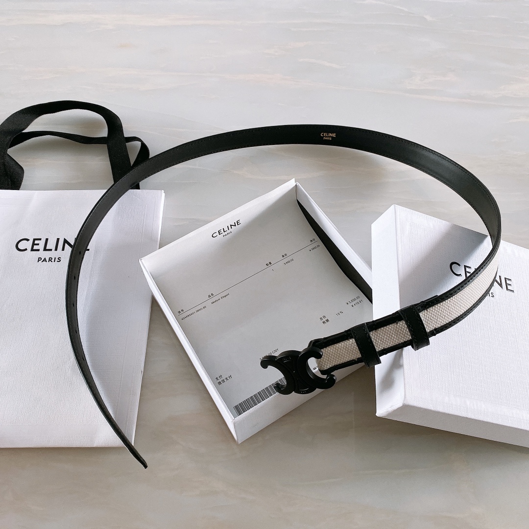 celine赛琳TRIOMPHE中号