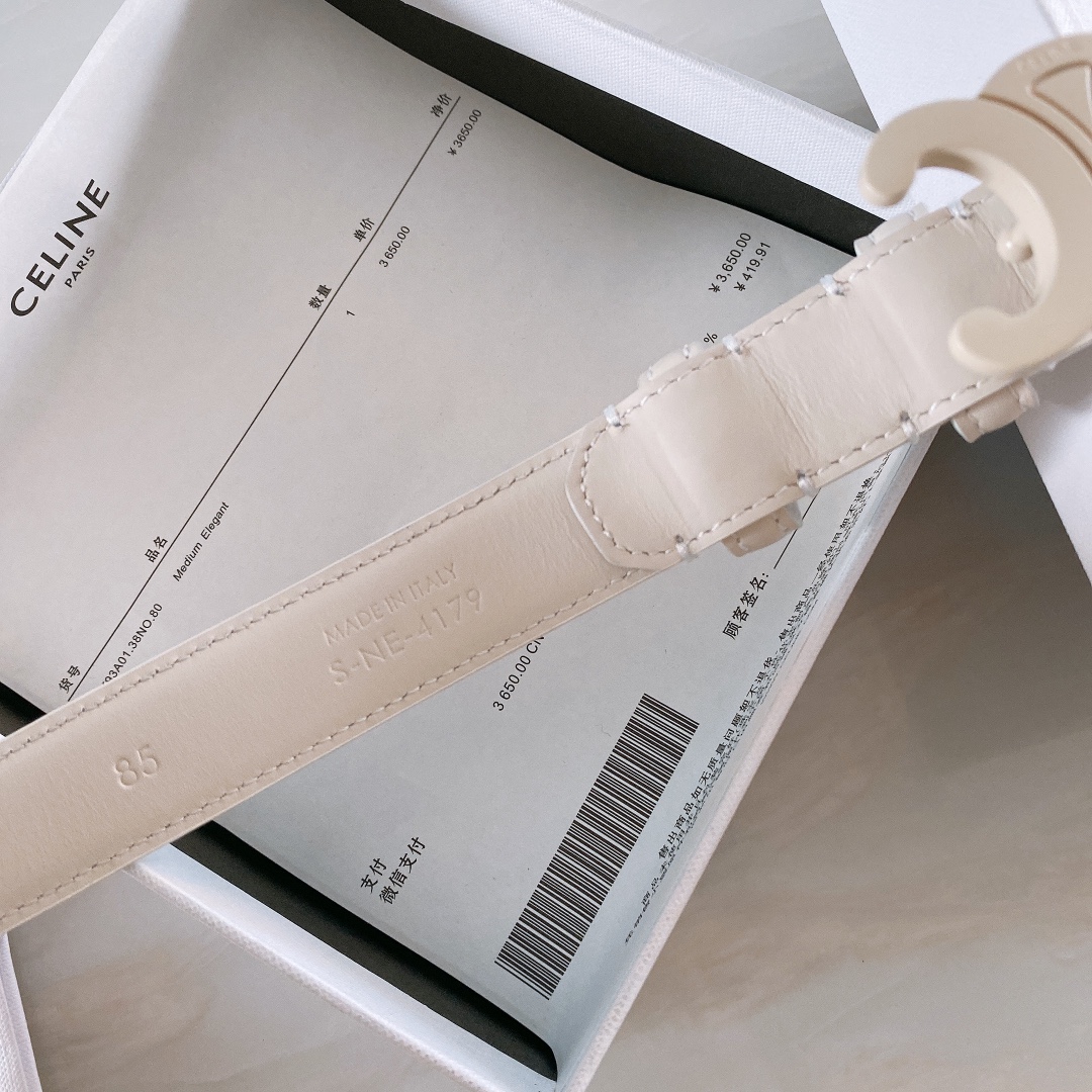 celine赛琳TRIOMPHE中号