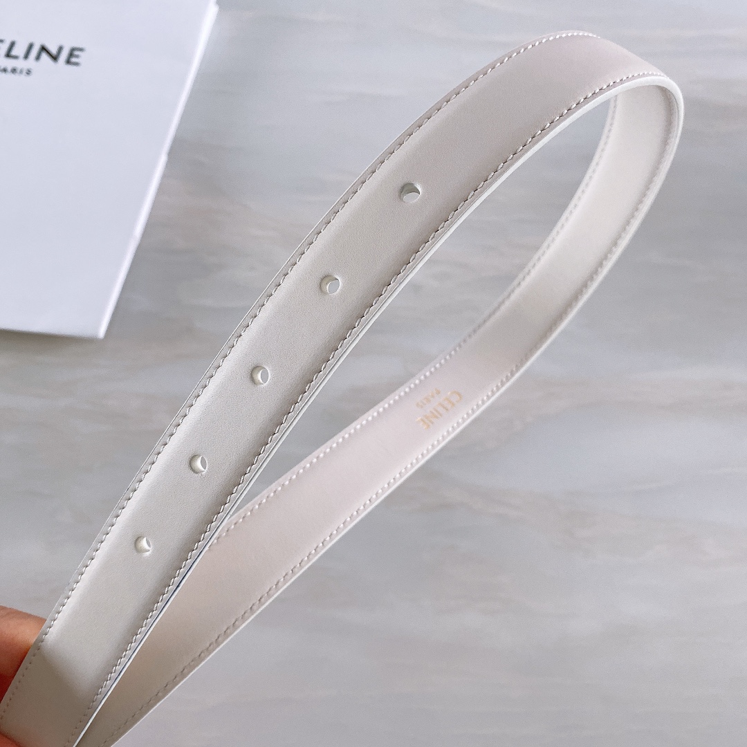 celine赛琳TRIOMPHE中号