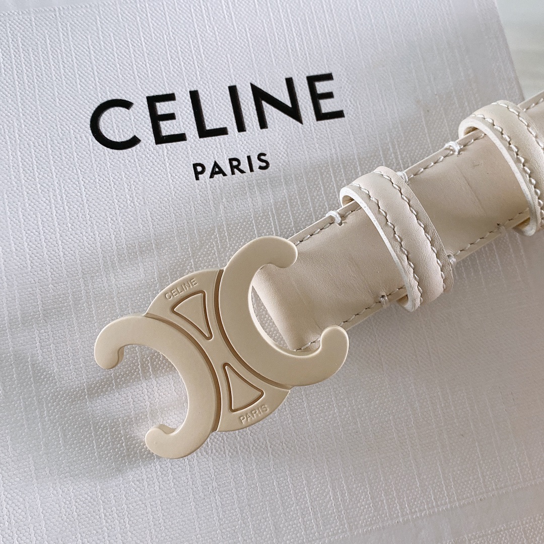 celine赛琳TRIOMPHE中号