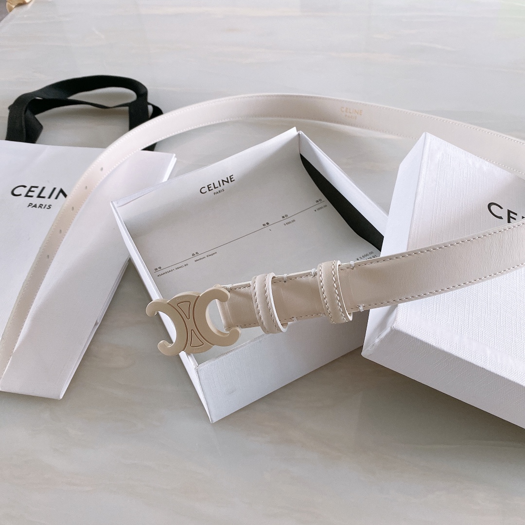 celine赛琳TRIOMPHE中号
