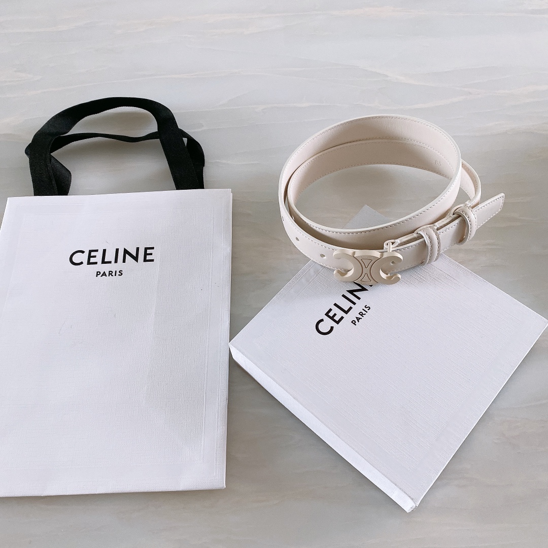celine赛琳TRIOMPHE中号