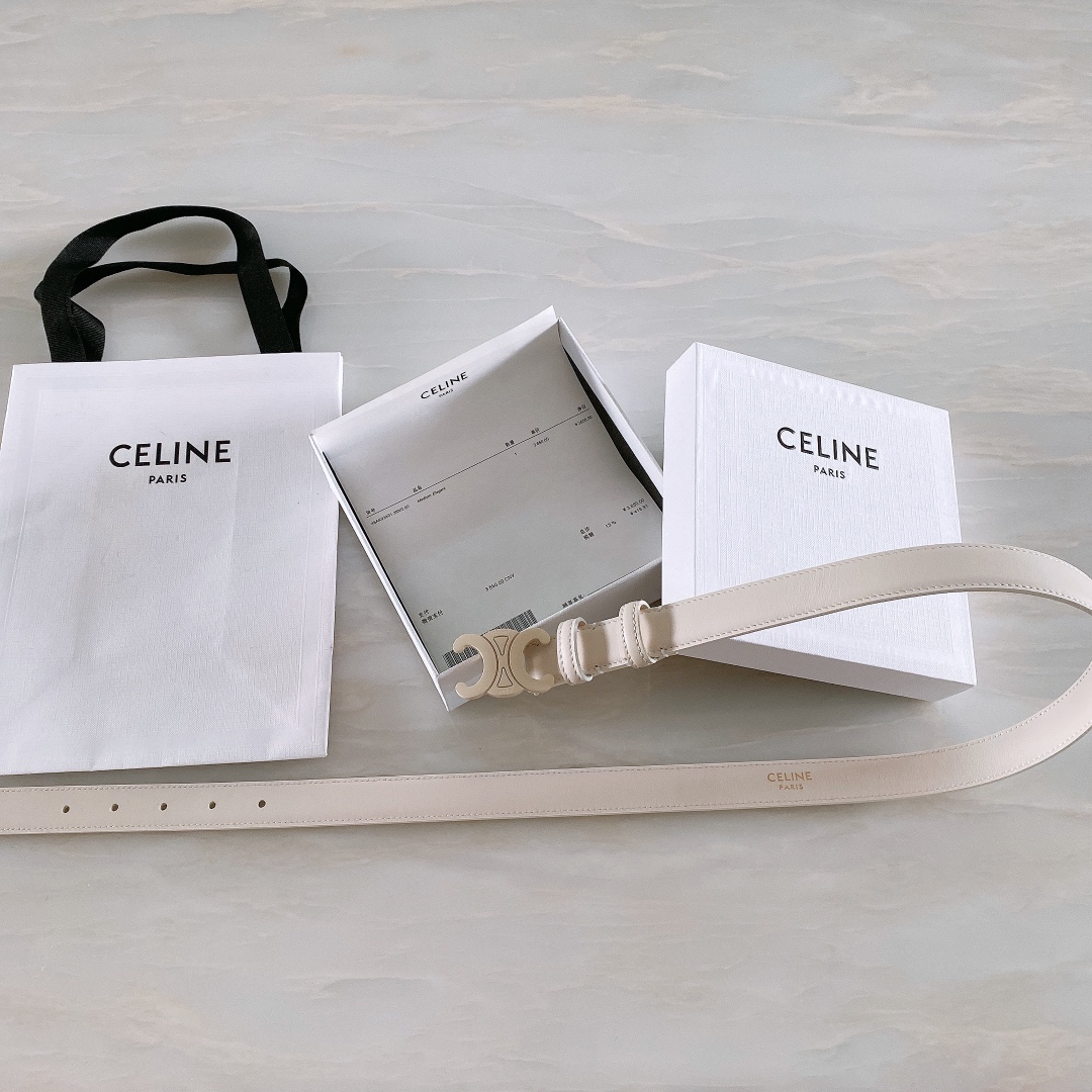 celine赛琳TRIOMPHE中号