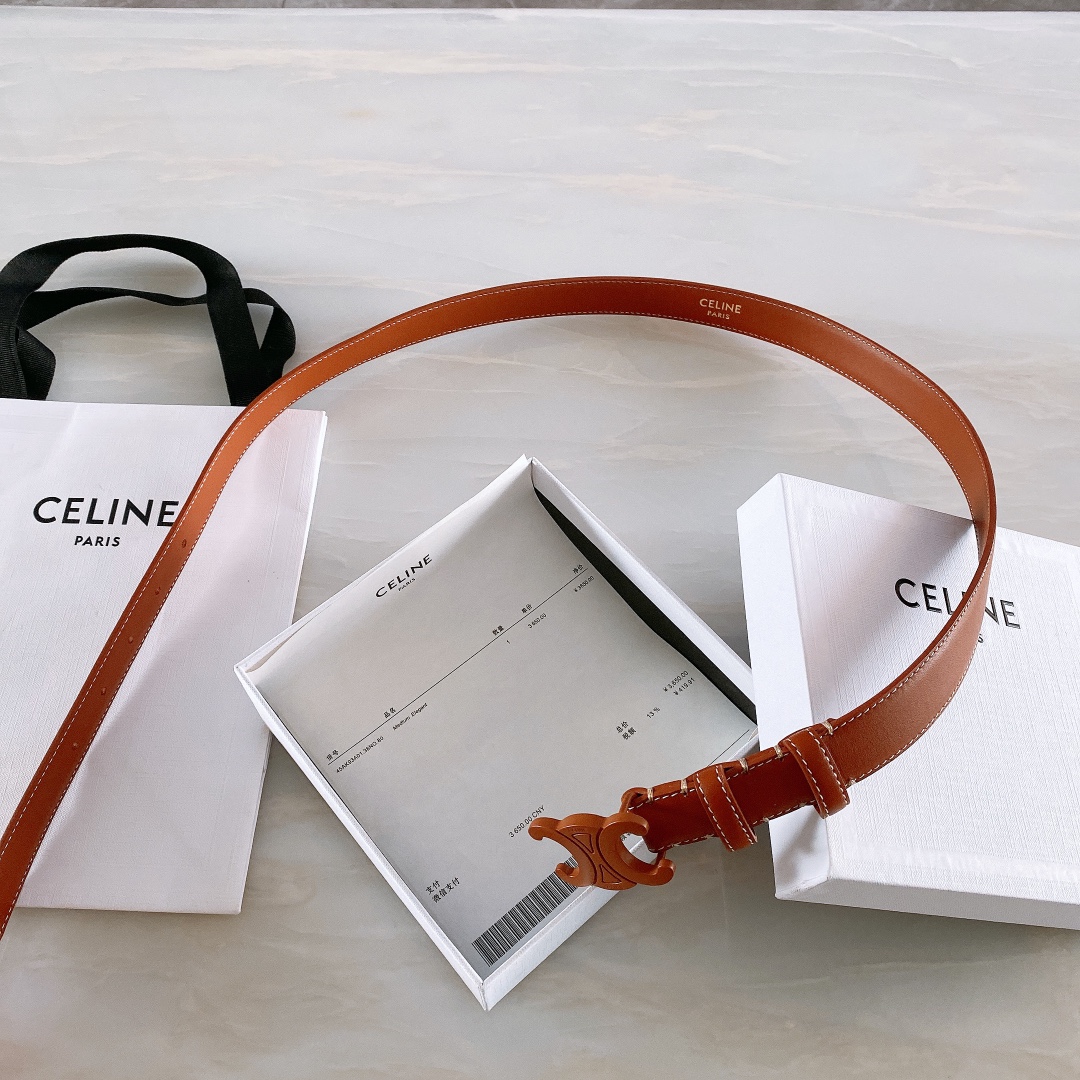 celine赛琳TRIOMPHE中号