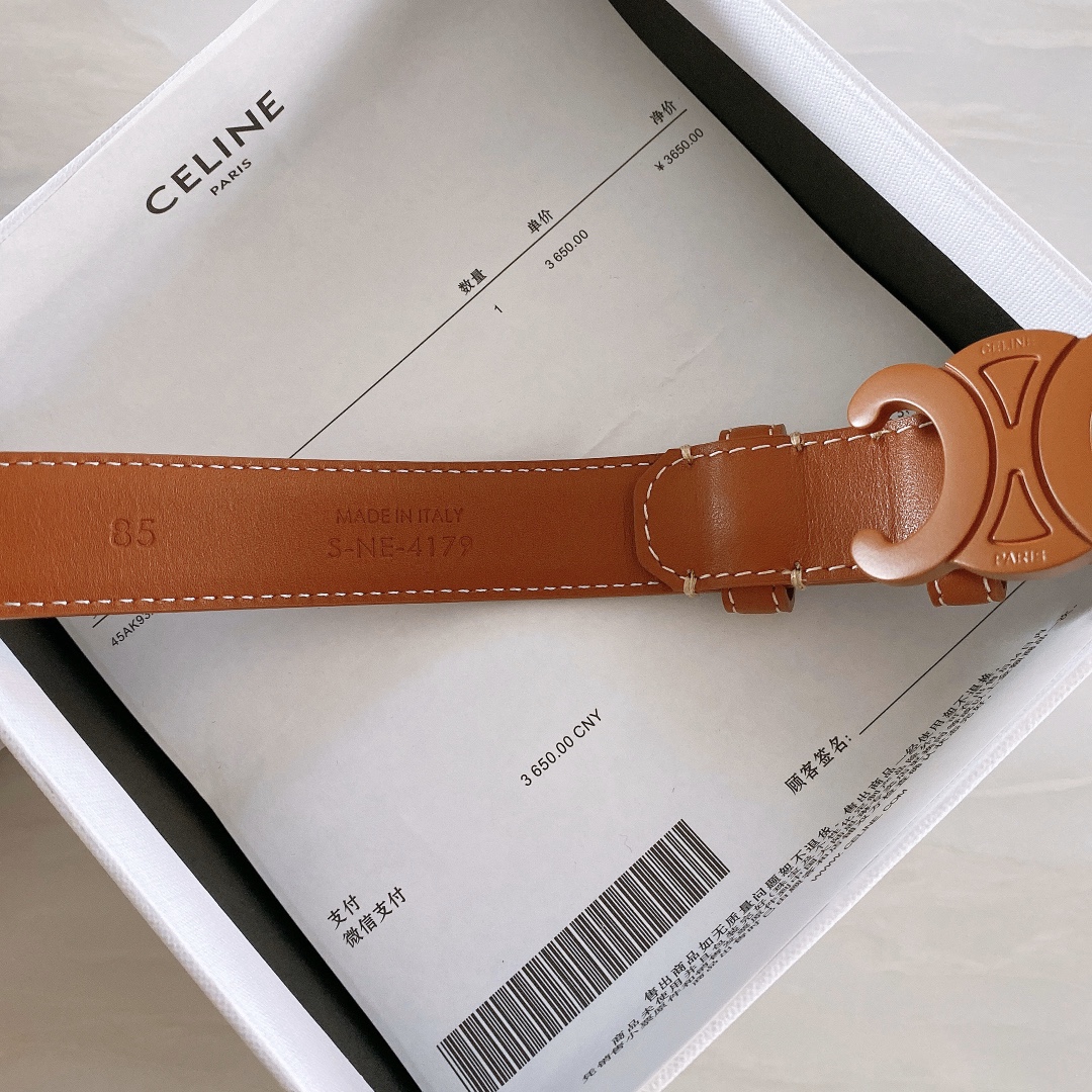 celine赛琳TRIOMPHE中号