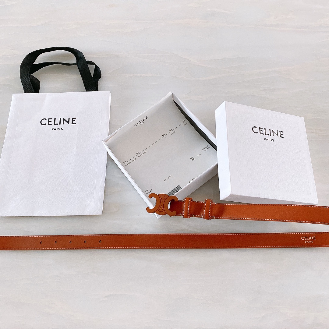 celine赛琳TRIOMPHE中号