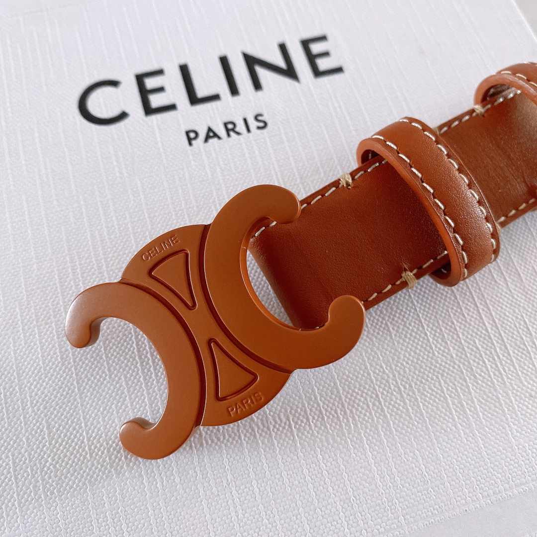 celine赛琳TRIOMPHE中号