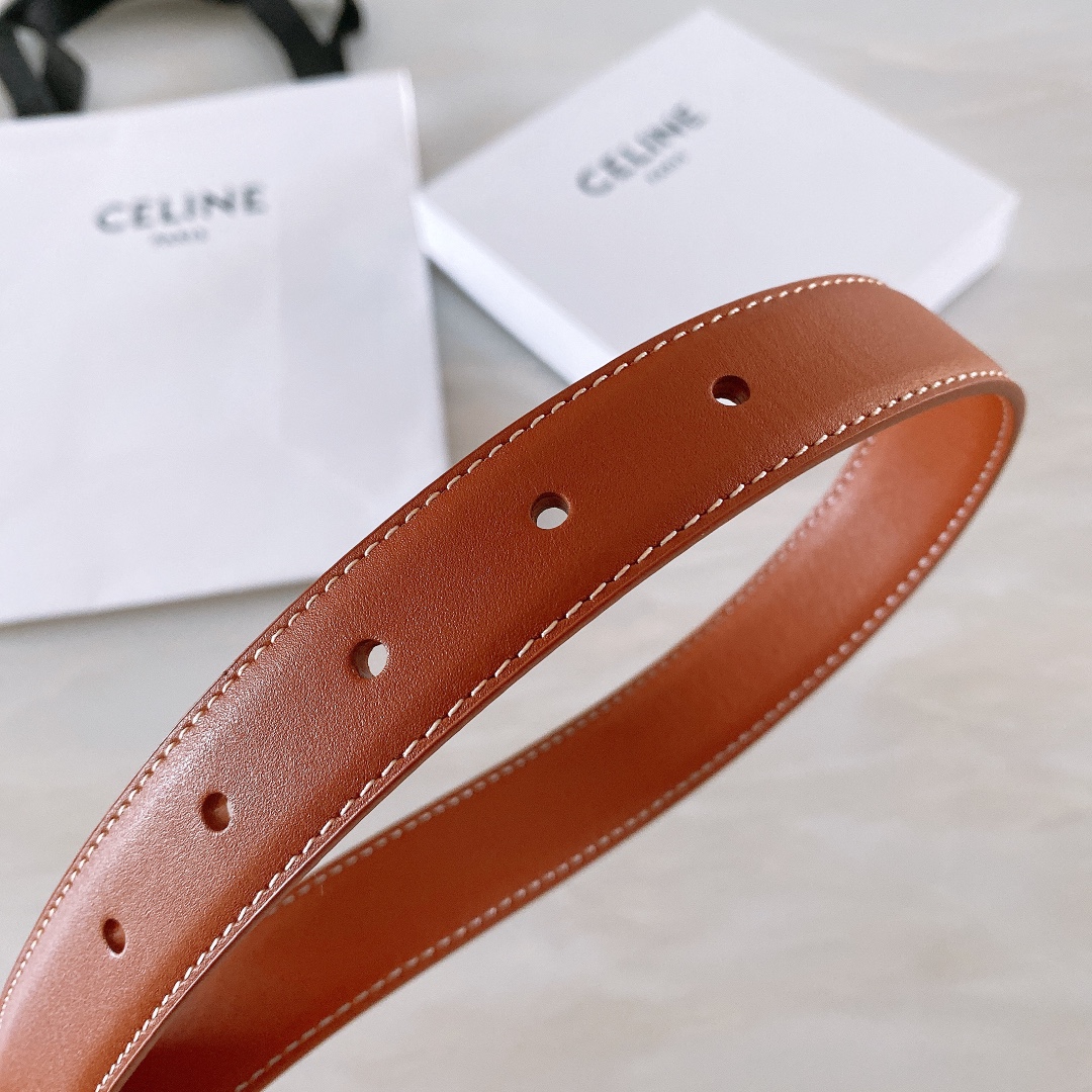 celine赛琳TRIOMPHE中号