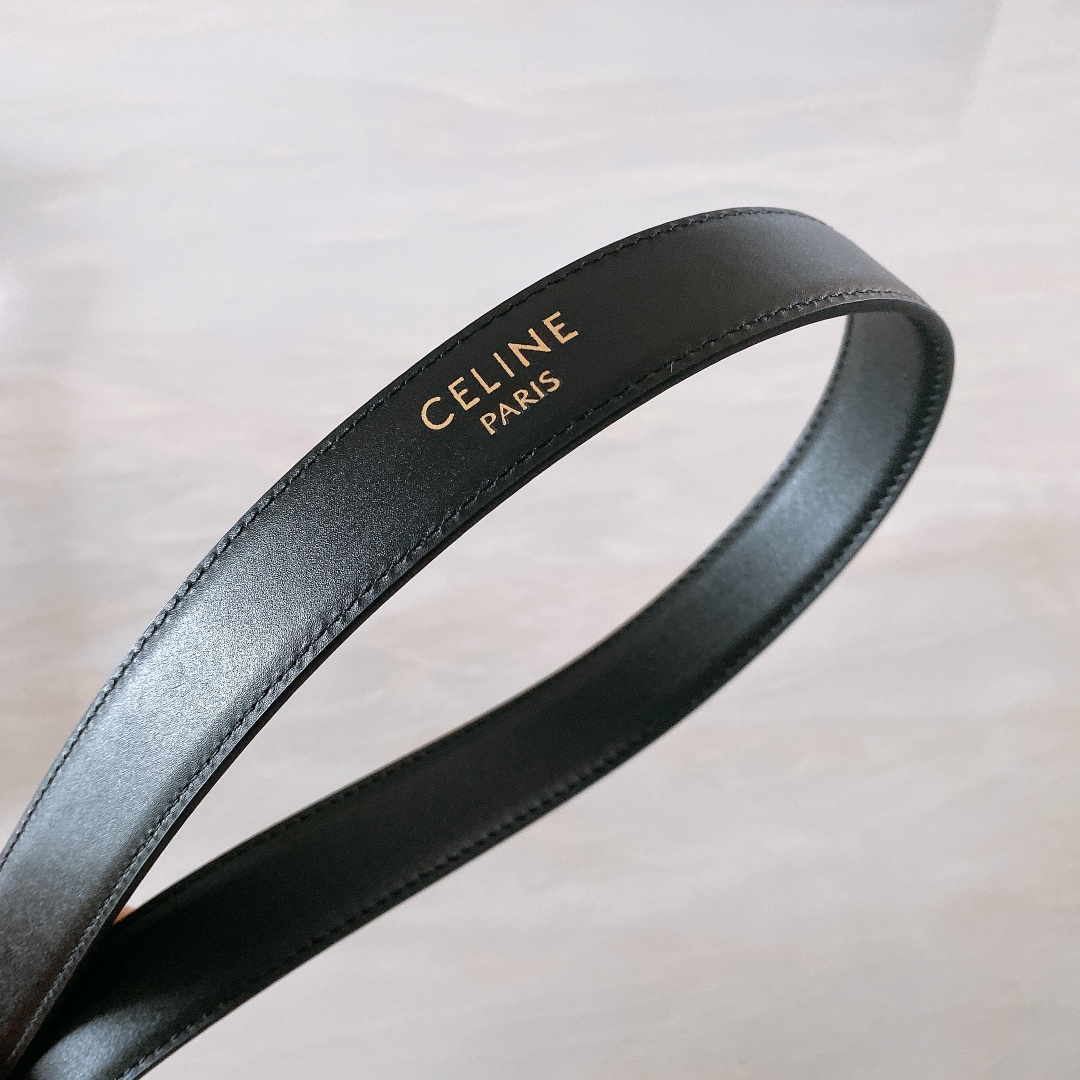 celine赛琳TRIOMPHE中号