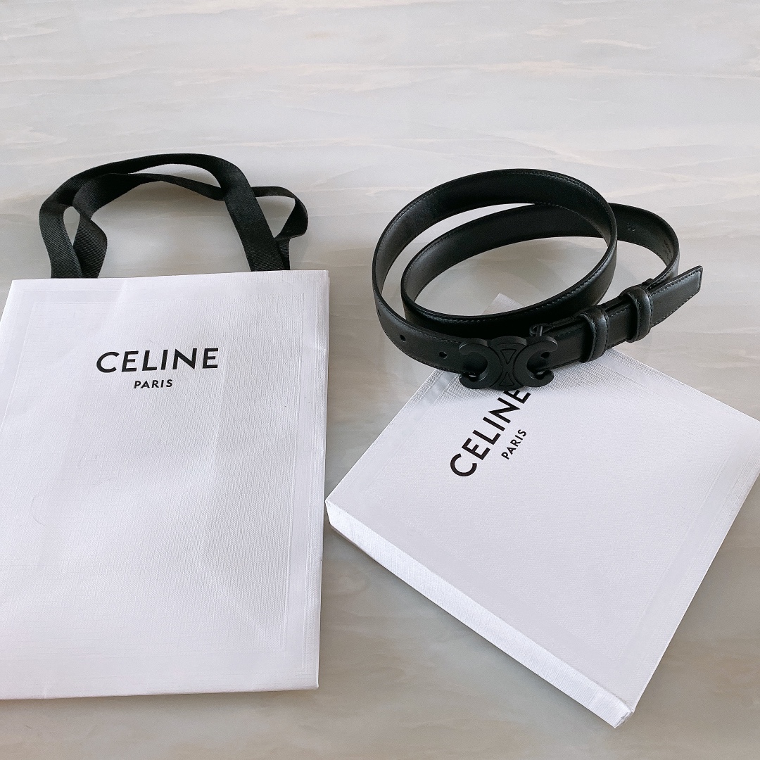 celine赛琳TRIOMPHE中号