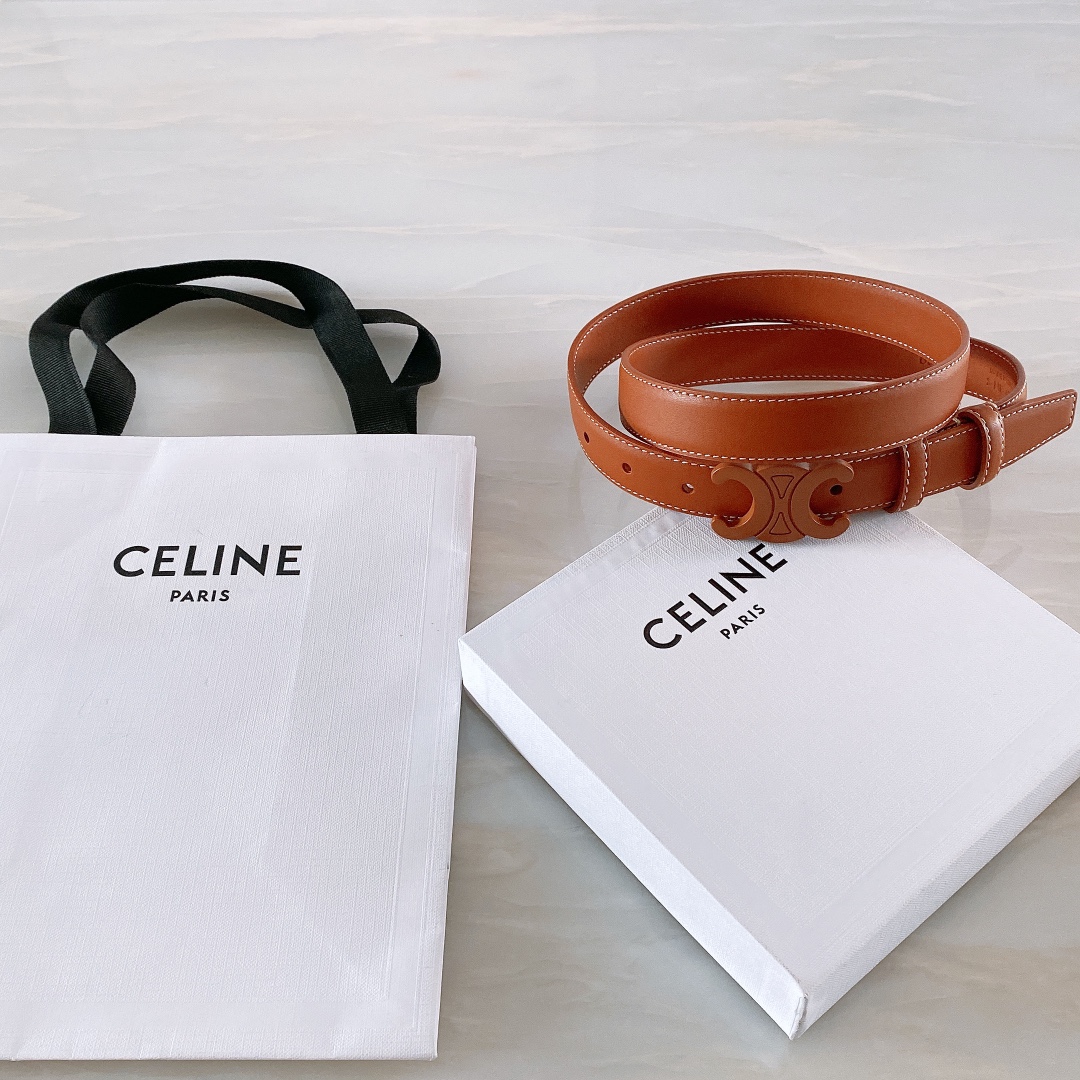 celine赛琳TRIOMPHE中号