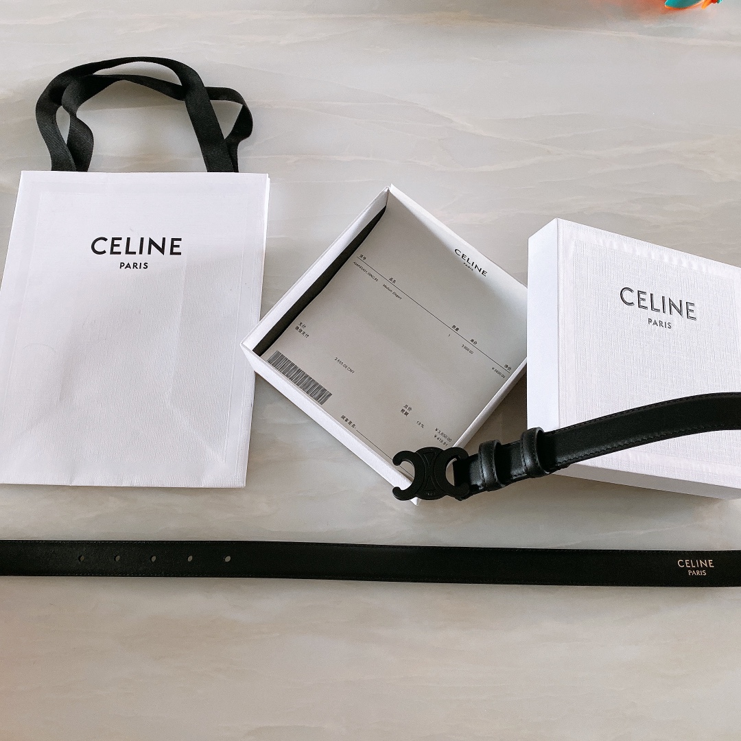 celine赛琳TRIOMPHE中号