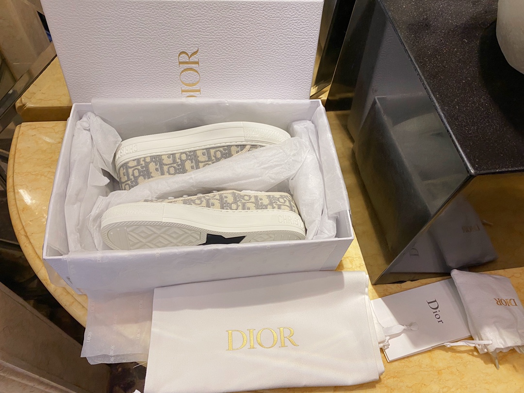 Dior Canvas Shoes Grey Stone Gray Embroidery Canvas