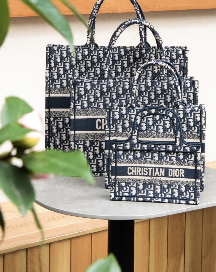 Best Replica
 Dior Book Tote Handbags Tote Bags Blue Mini