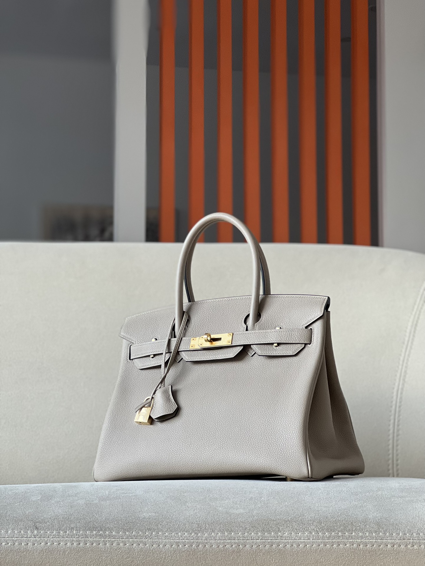 Hermes Birkin Bags Handbags Platinum Calfskin Cowhide