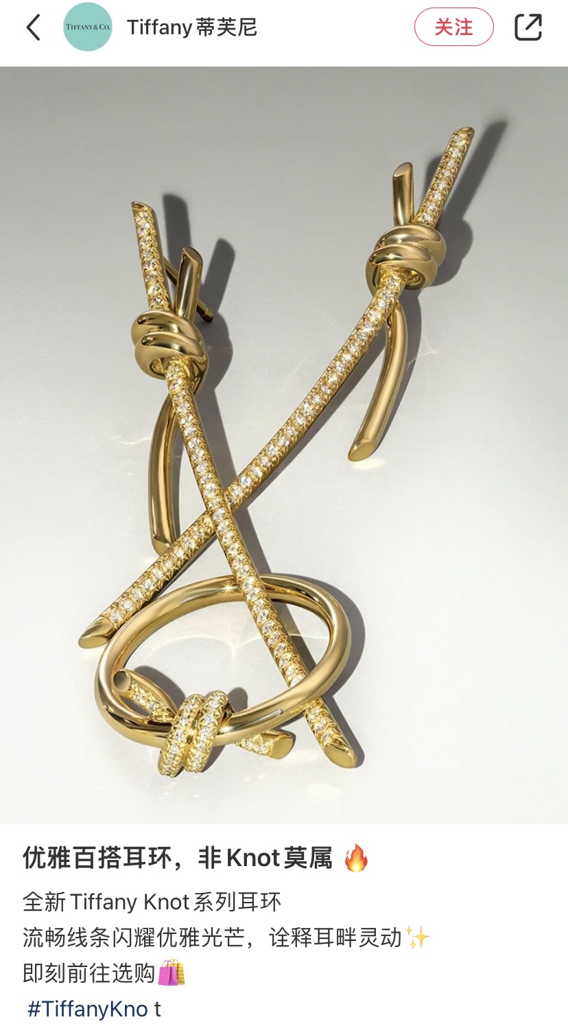 Tiffany & Co. 童瑶谷爱凌同款TFN蒂夫尼Tiffany