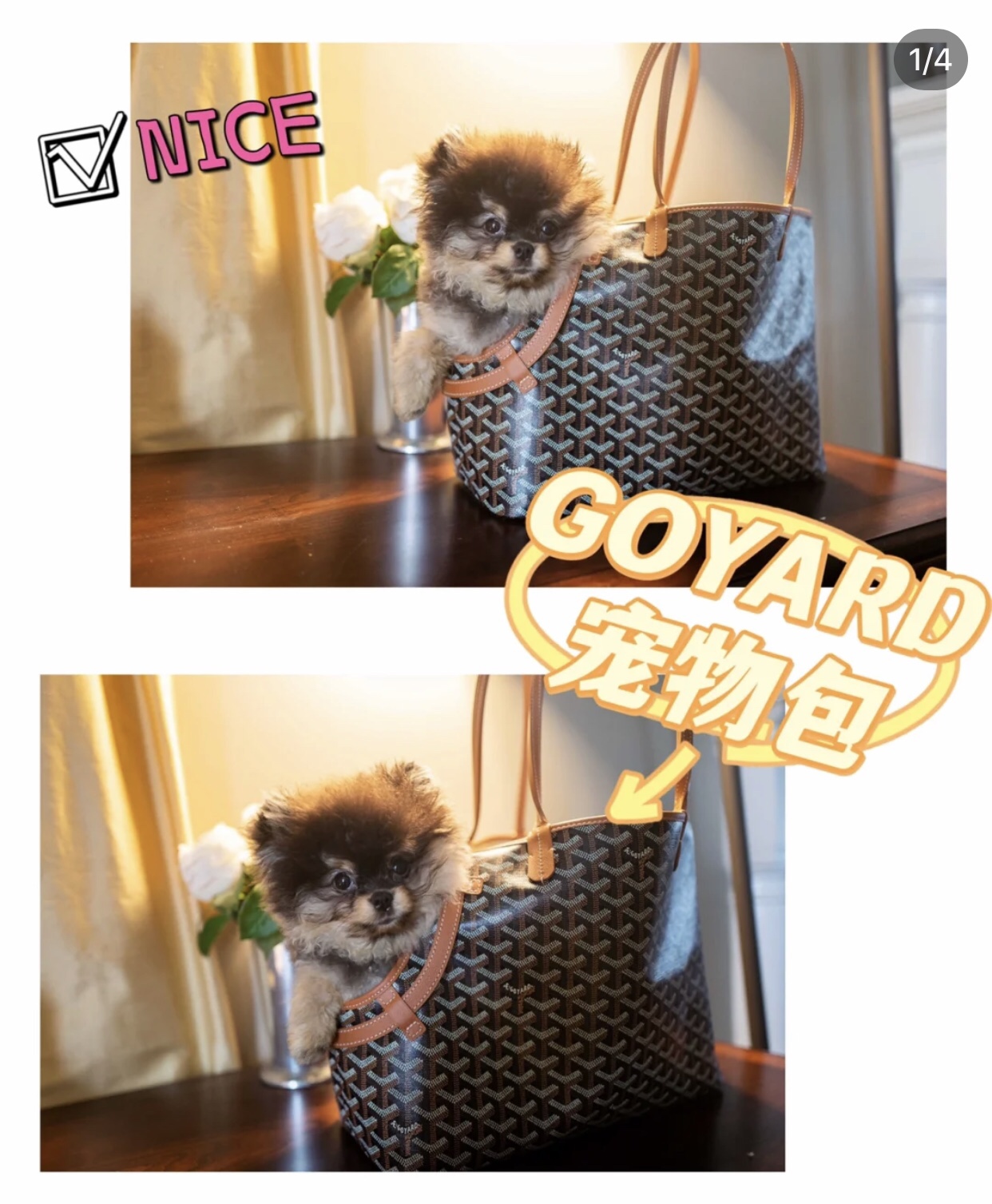香奈儿 Chanel 高级成衣风衣外套及大衣服装 #3F8599F1 7