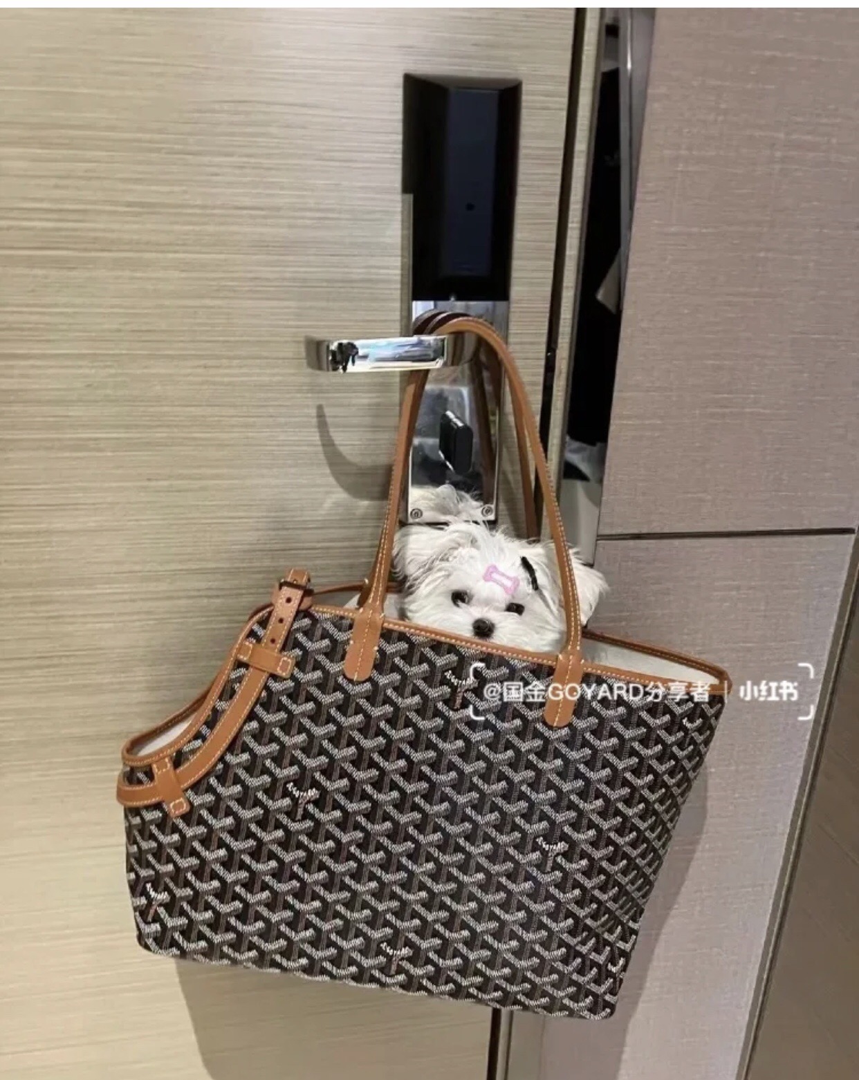 香奈儿 Chanel 高级成衣风衣外套及大衣服装 #3F8599F1 8
