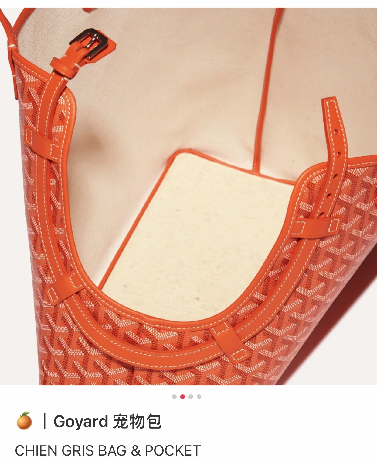 橙色Chien Gris 宠物包，

附赠pocket骨头包🦴