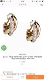 Cartier Best
 Jewelry Earring